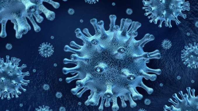 VHC: EL VIRUS DE LA HEPATITIS C – Parte I