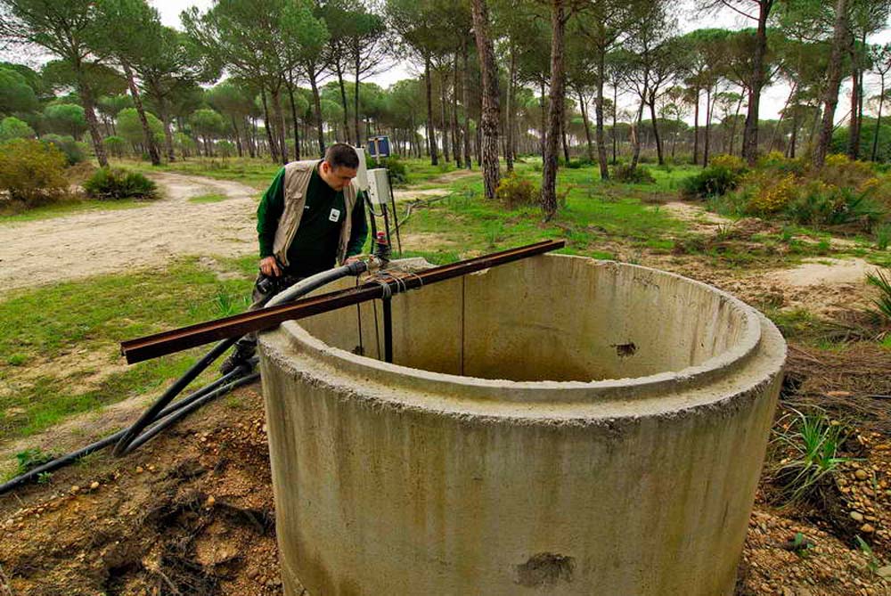 Pozo ilegal Doñana